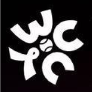 世界网球洲际对抗赛本西奇0-2莱巴金娜20251228