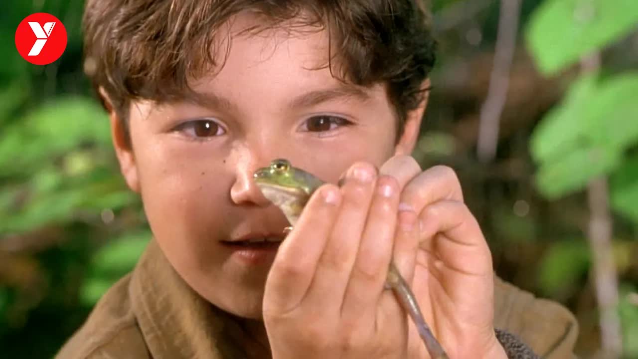 【越哥】又挖到一部冷门宝藏电影，看得我都想回农村老家了