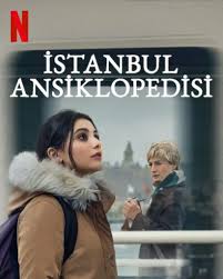 伊斯坦布尔百科全书